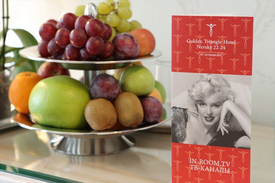 Гостиница Золотой Треугольник Санкт-Петербург-57