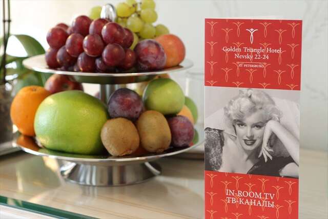 Гостиница Золотой Треугольник Санкт-Петербург-56