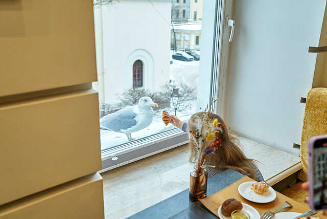 Гостиница Золотой Треугольник Санкт-Петербург-60